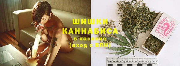 трава Аркадак